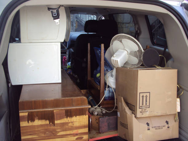 Best Moving and Downsizing Cleanouts  in Avoca, PA